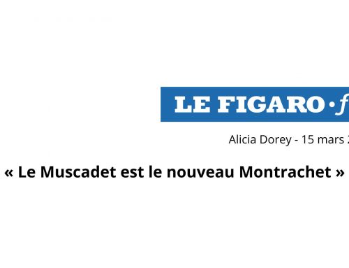 Le Figaro mars 2024